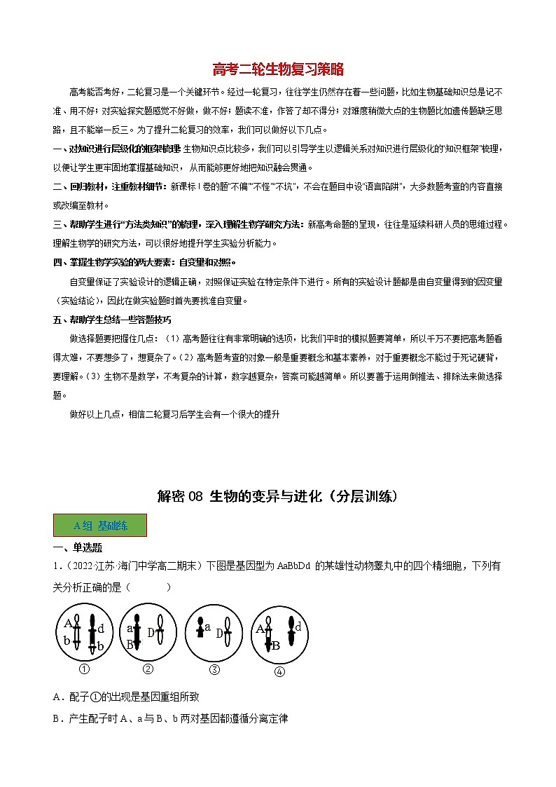 08 生物的变异与进化（分层训练)（教师版）第1页