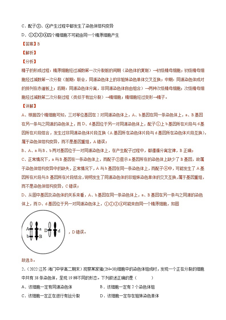 08 生物的变异与进化（分层训练)（教师版）第2页