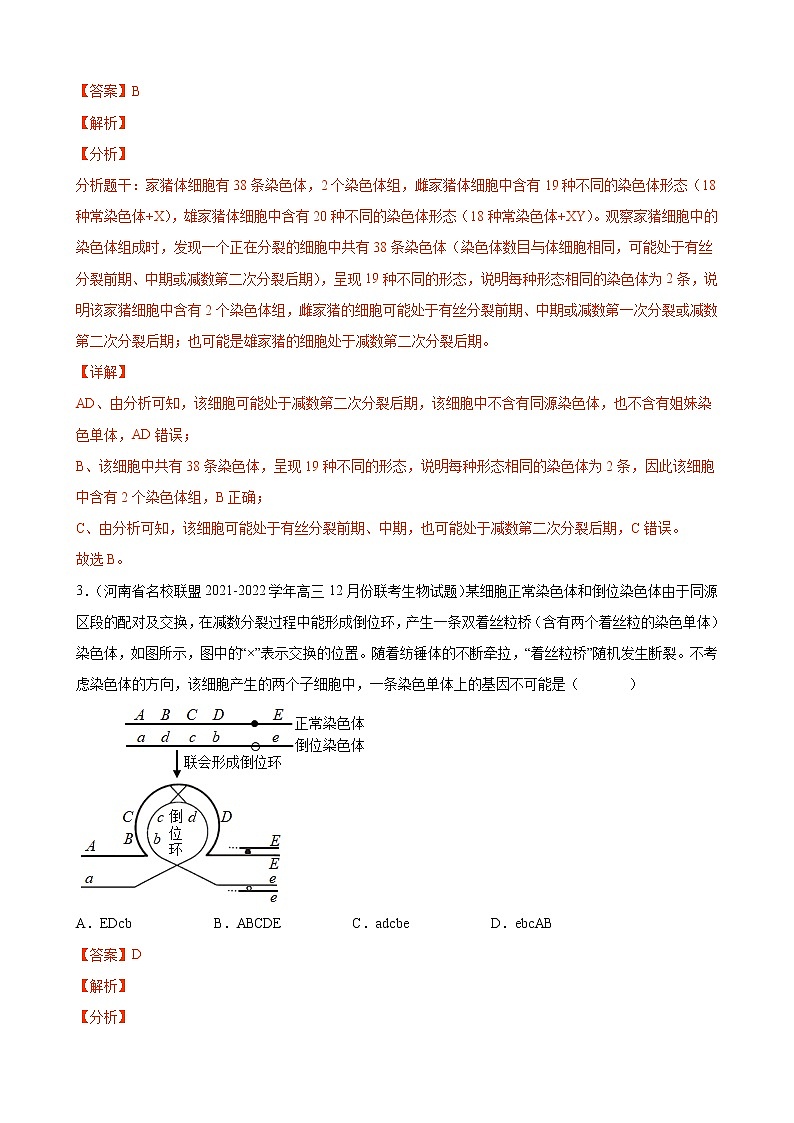 08 生物的变异与进化（分层训练)（教师版）第3页