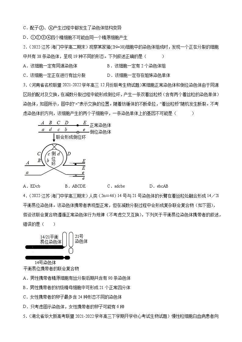 08 生物的变异与进化（分层训练)（学生版）第2页