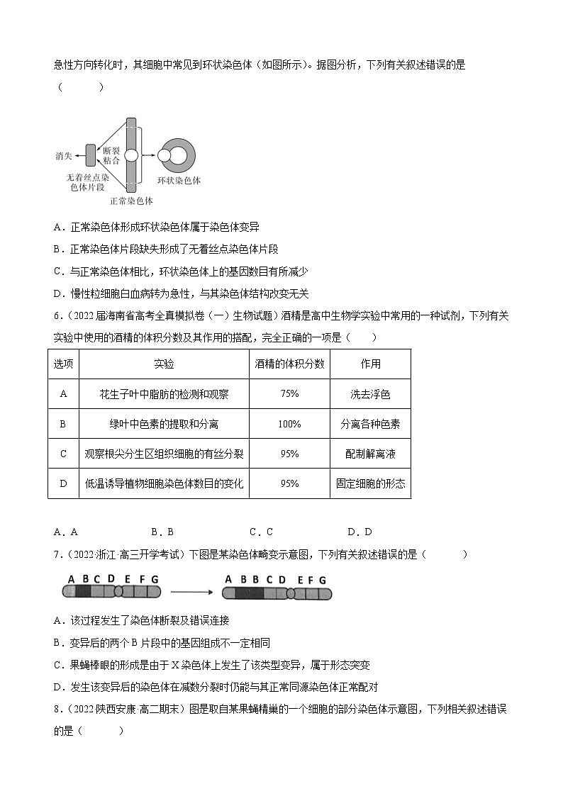 08 生物的变异与进化（分层训练)（学生版）第3页