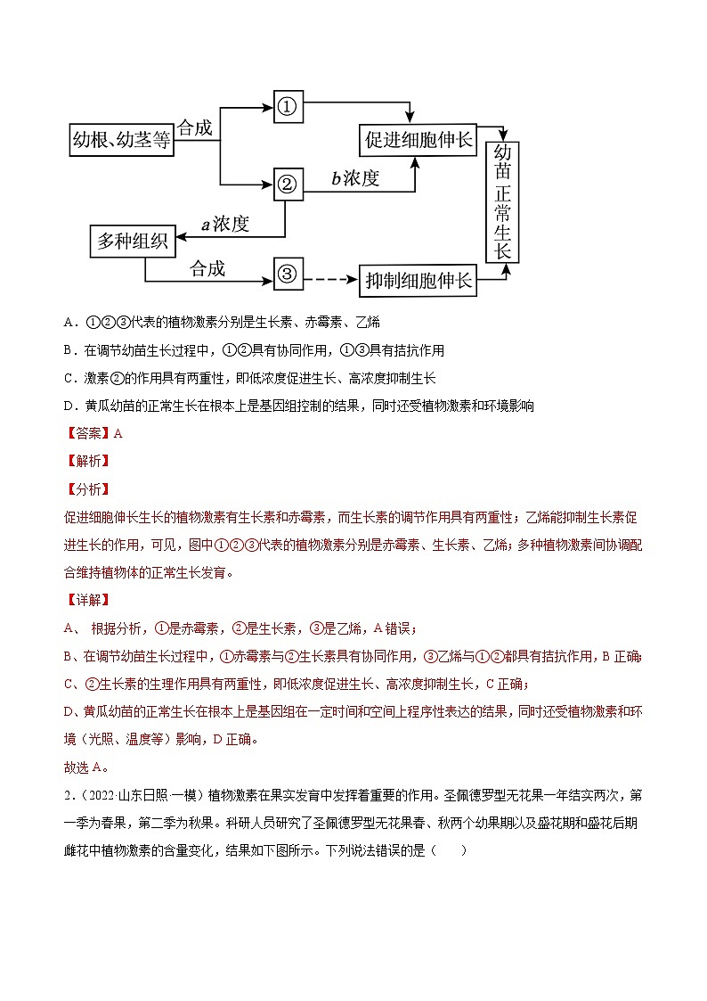 12 植物生命活动的调节（分层训练）（教师版）第2页