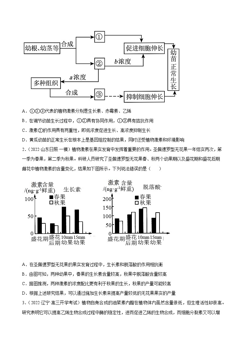 12 植物生命活动的调节（分层训练）（学生版）第2页
