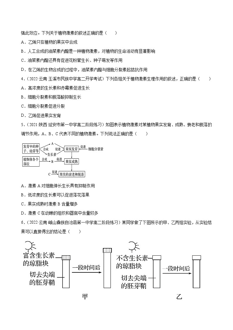 12 植物生命活动的调节（分层训练）（学生版）第3页