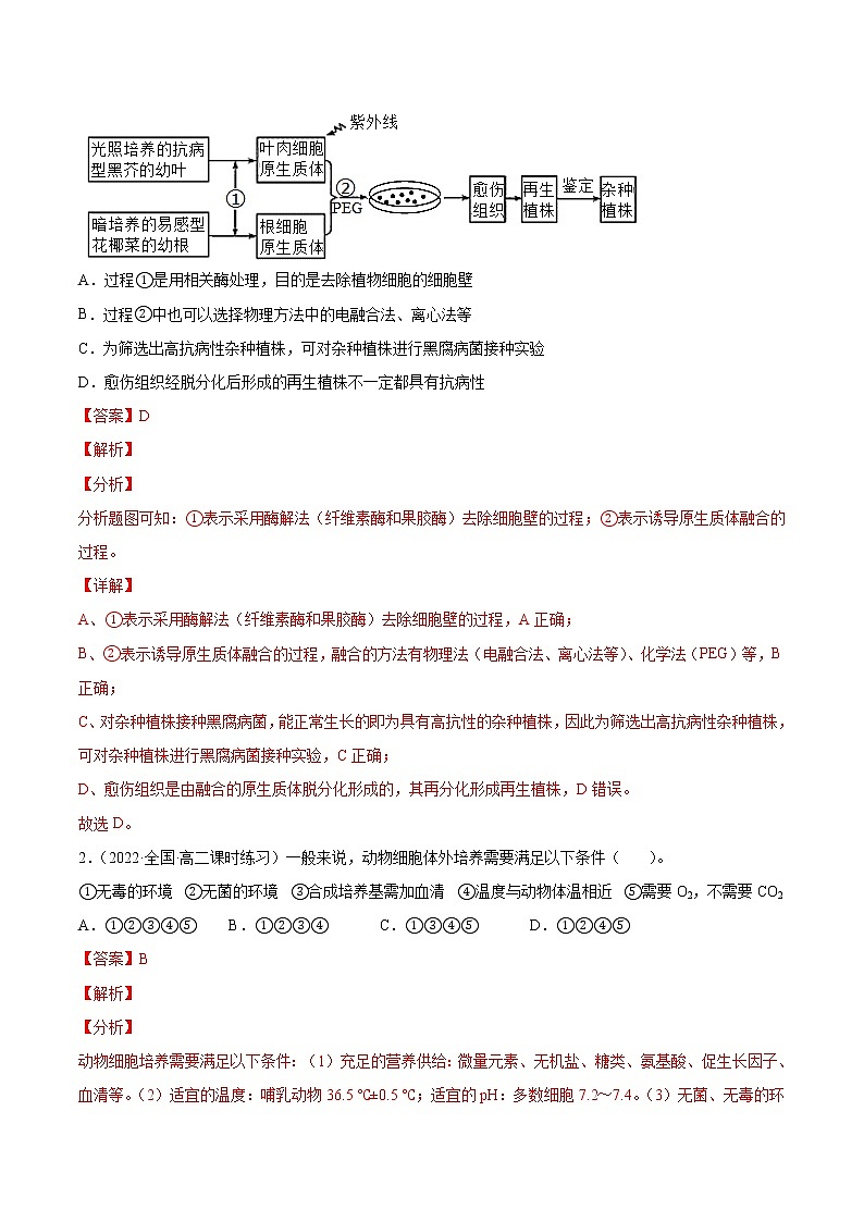 16 细胞工程（分层训练）（教师版）第2页