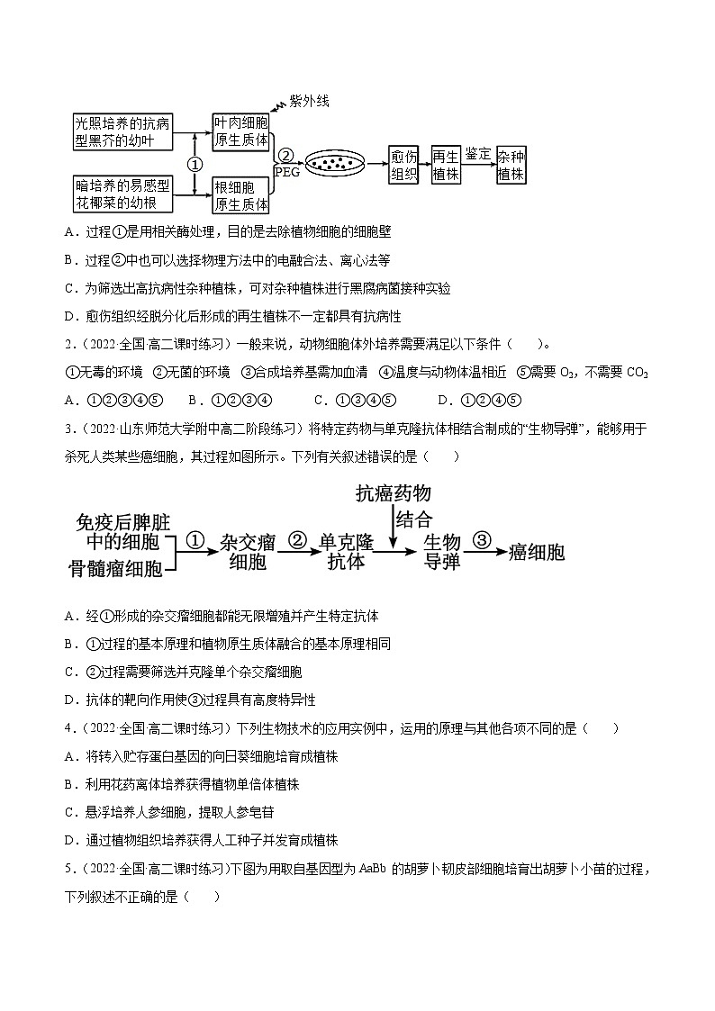 16 细胞工程（分层训练）（学生版）第2页