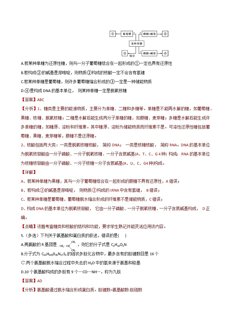 高中生物高考考点01 细胞的分子组成-2022年高考生物一轮复习小题多维练（新高考专用）（解析版）第3页