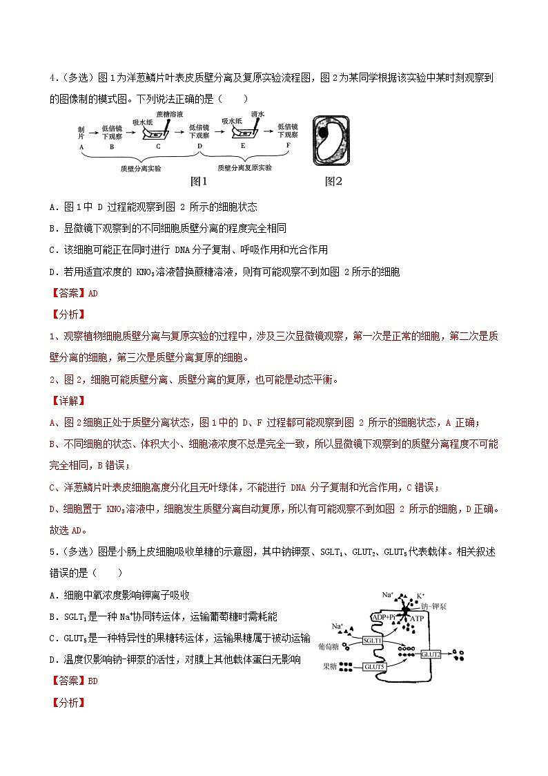 高中生物高考考点03 物质运输-2022年高考生物一轮复习小题多维练（新高考专用）（解析版）第3页