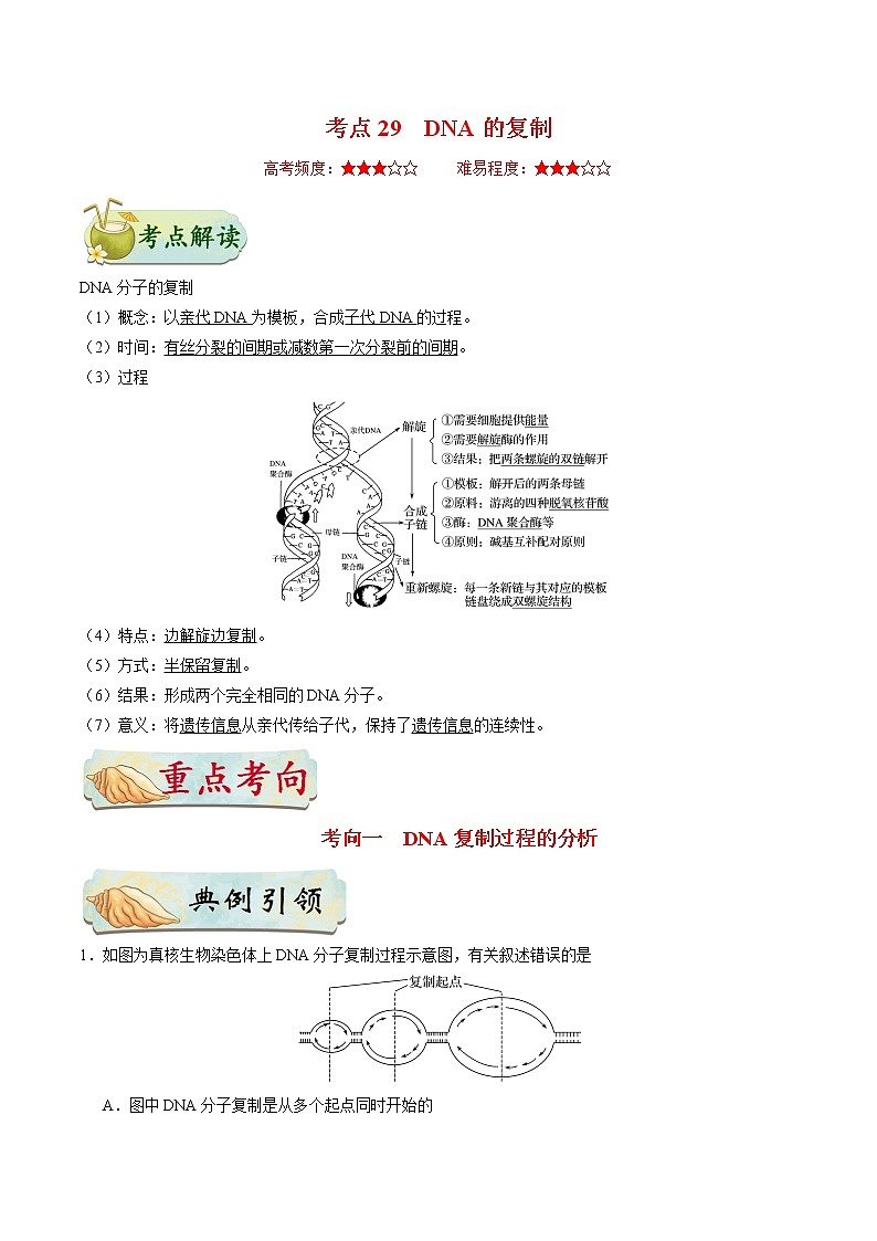 高中生物高考考点29 DNA的复制-备战2022年高考生物考点一遍过第1页