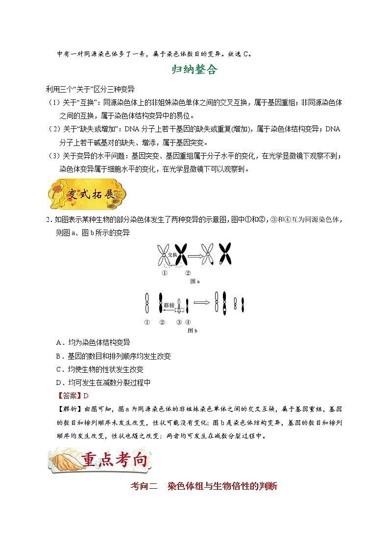 高中生物高考考点43 染色体变异-备战2022年高考生物考点一遍过第3页
