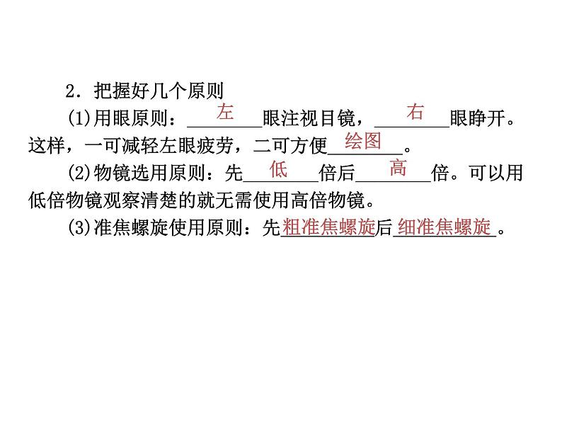 高中生物高考考点精讲1 走近细胞（课件）05