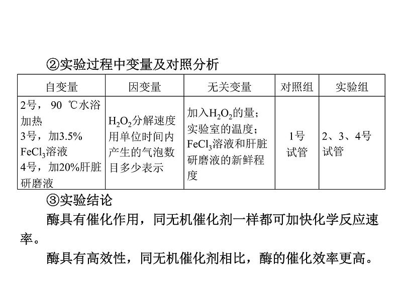 高中生物高考考点精讲4 酶和ATP（课件）06