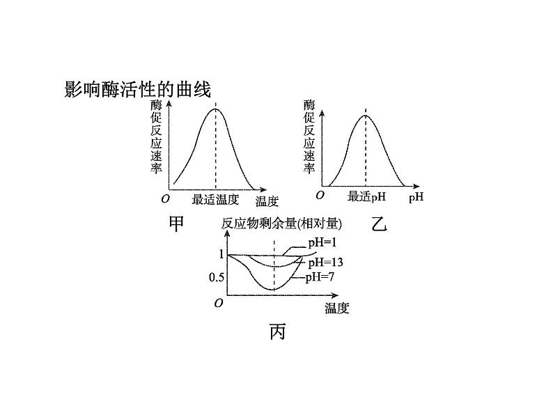 高中生物高考考点精讲4 酶和ATP（课件）08