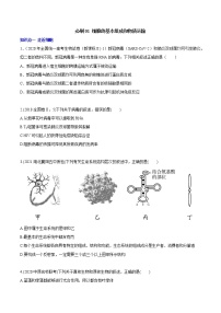 必刷01 细胞的基本组成和物质运输（30题）-备战高考生物核心考点+常考题型必刷题