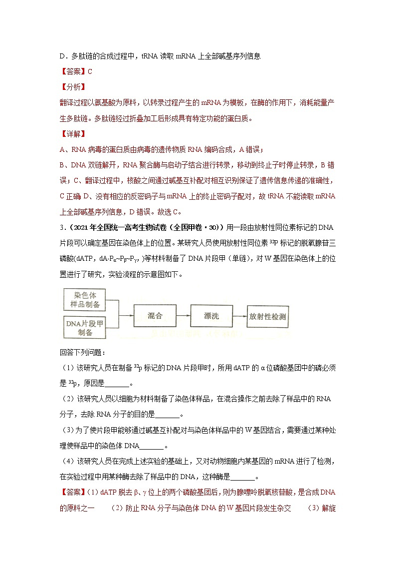 高中生物高考考点精讲9 遗传的分子基础（作业）02