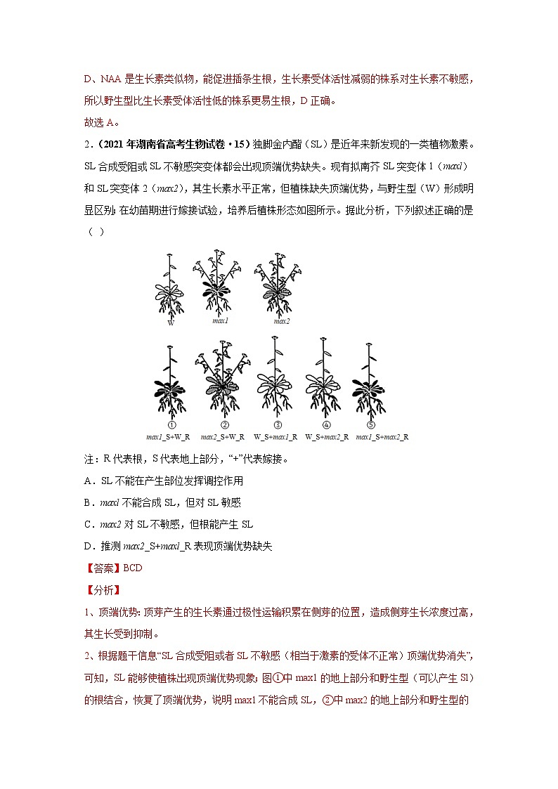 高中生物高考考点精讲11 生命活动的调节与稳态（作业）02