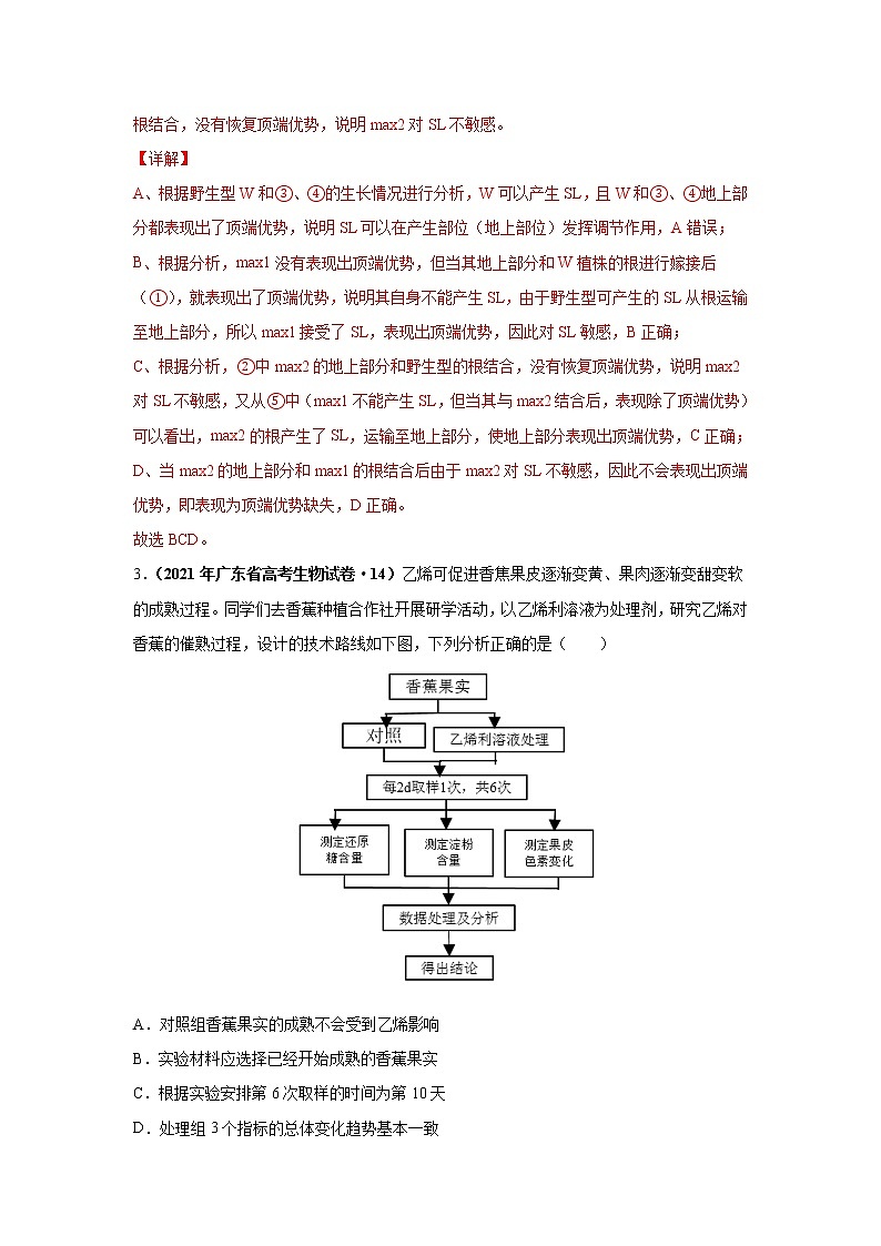 高中生物高考考点精讲11 生命活动的调节与稳态（作业）03