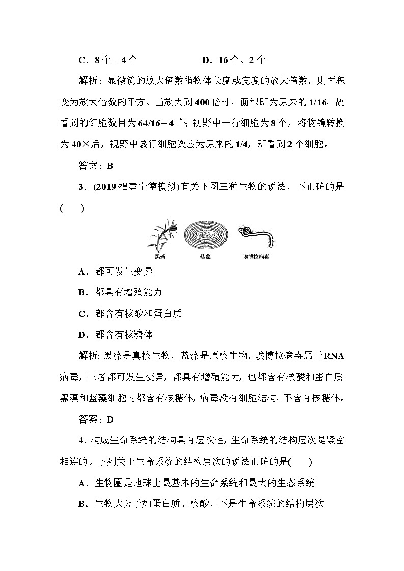 高中生物高考课时作业1第2页