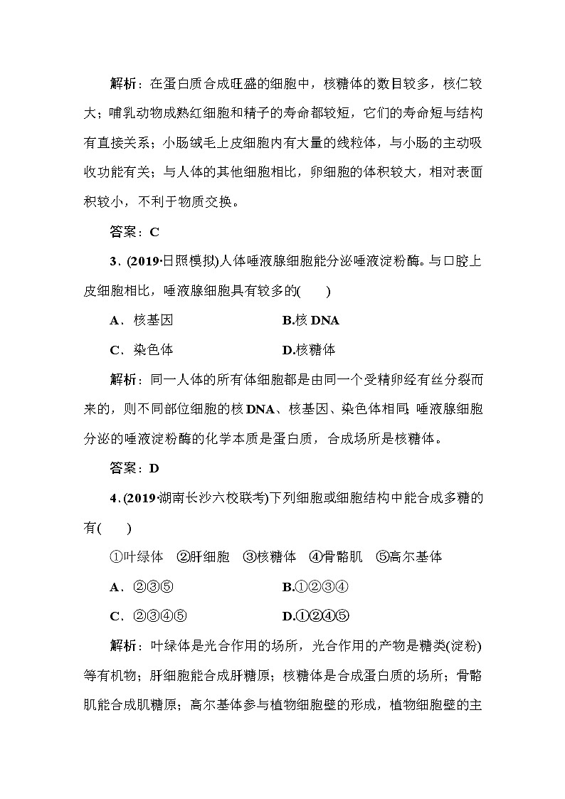 高中生物高考课时作业7第2页