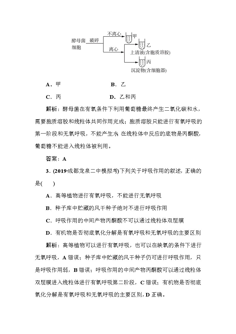 高中生物高考课时作业11第2页
