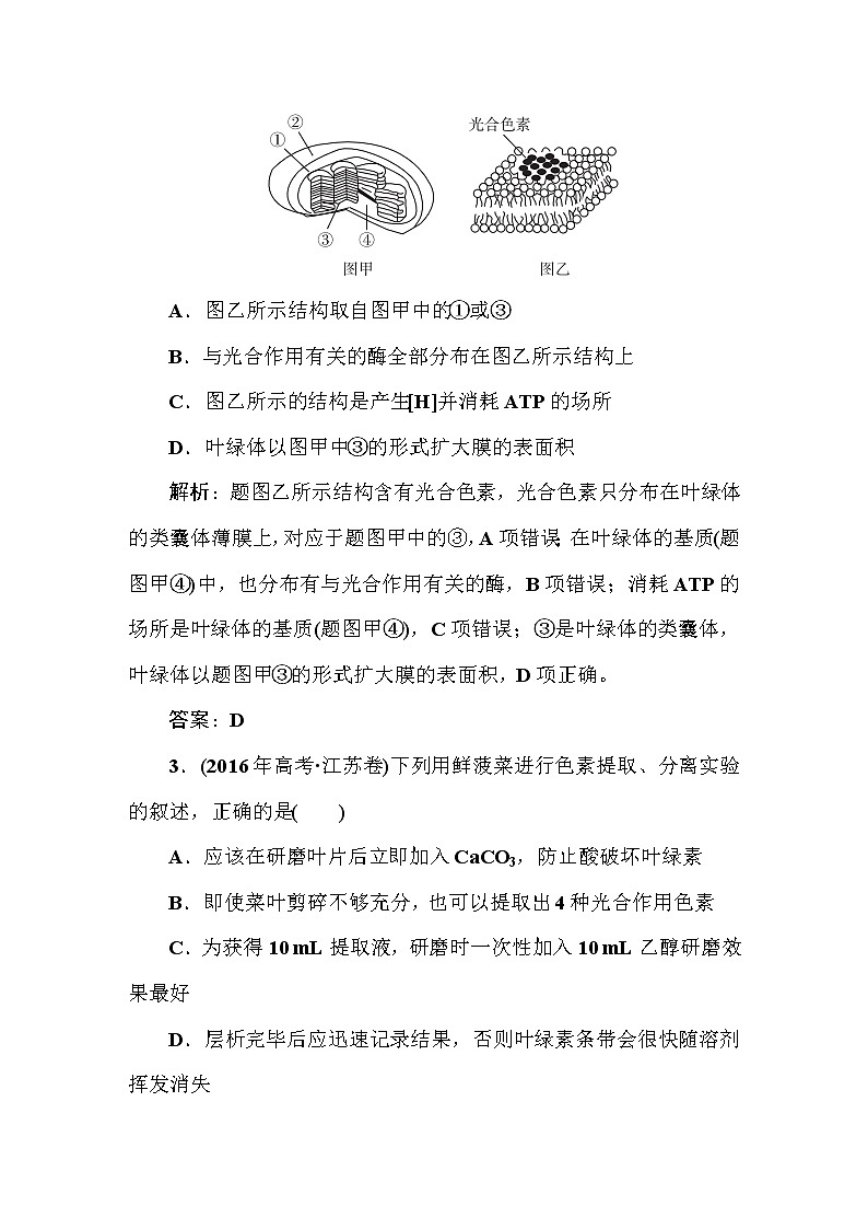 高中生物高考课时作业12第2页