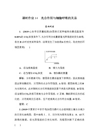 高中生物高考课时作业14