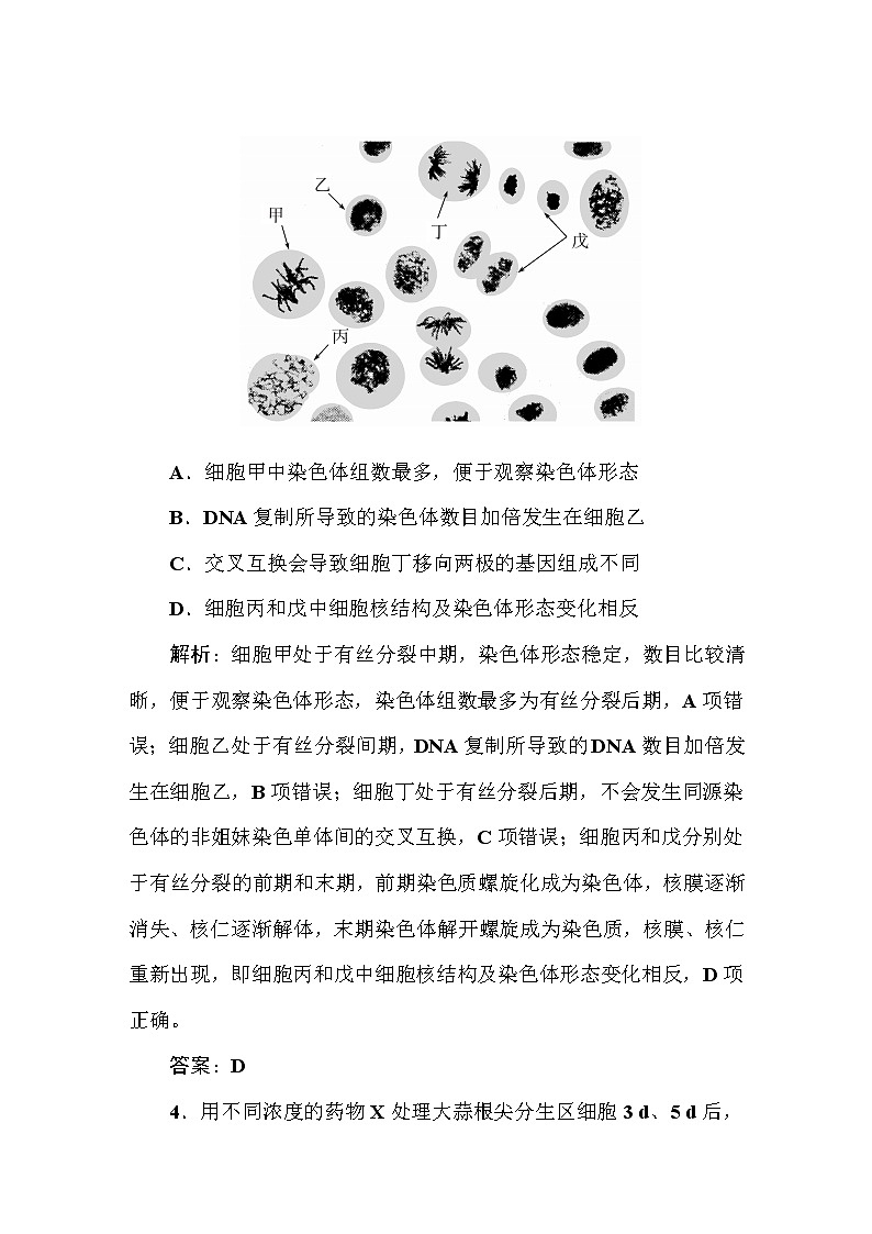 高中生物高考课时作业16第3页