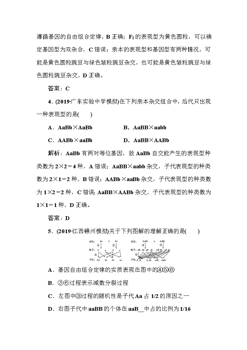 高中生物高考课时作业2003
