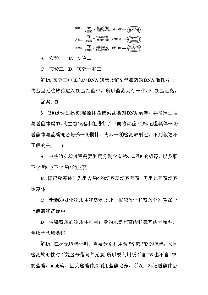 高中生物高考课时作业24第2页