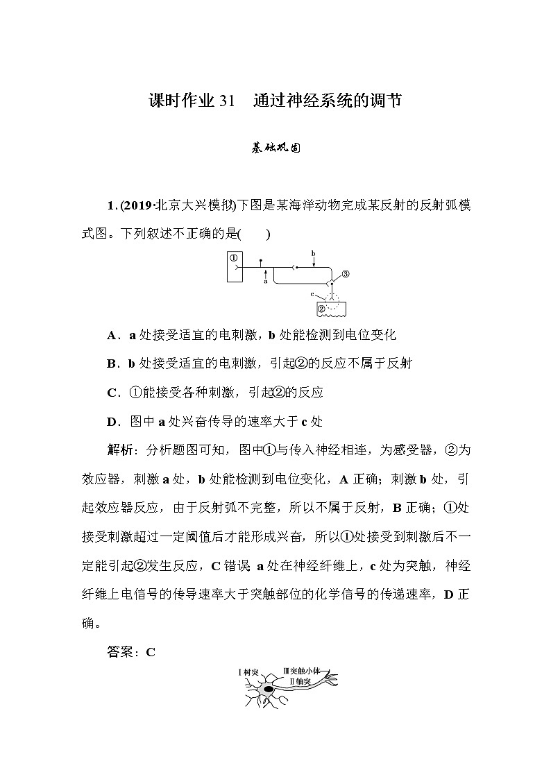 高中生物高考课时作业3101
