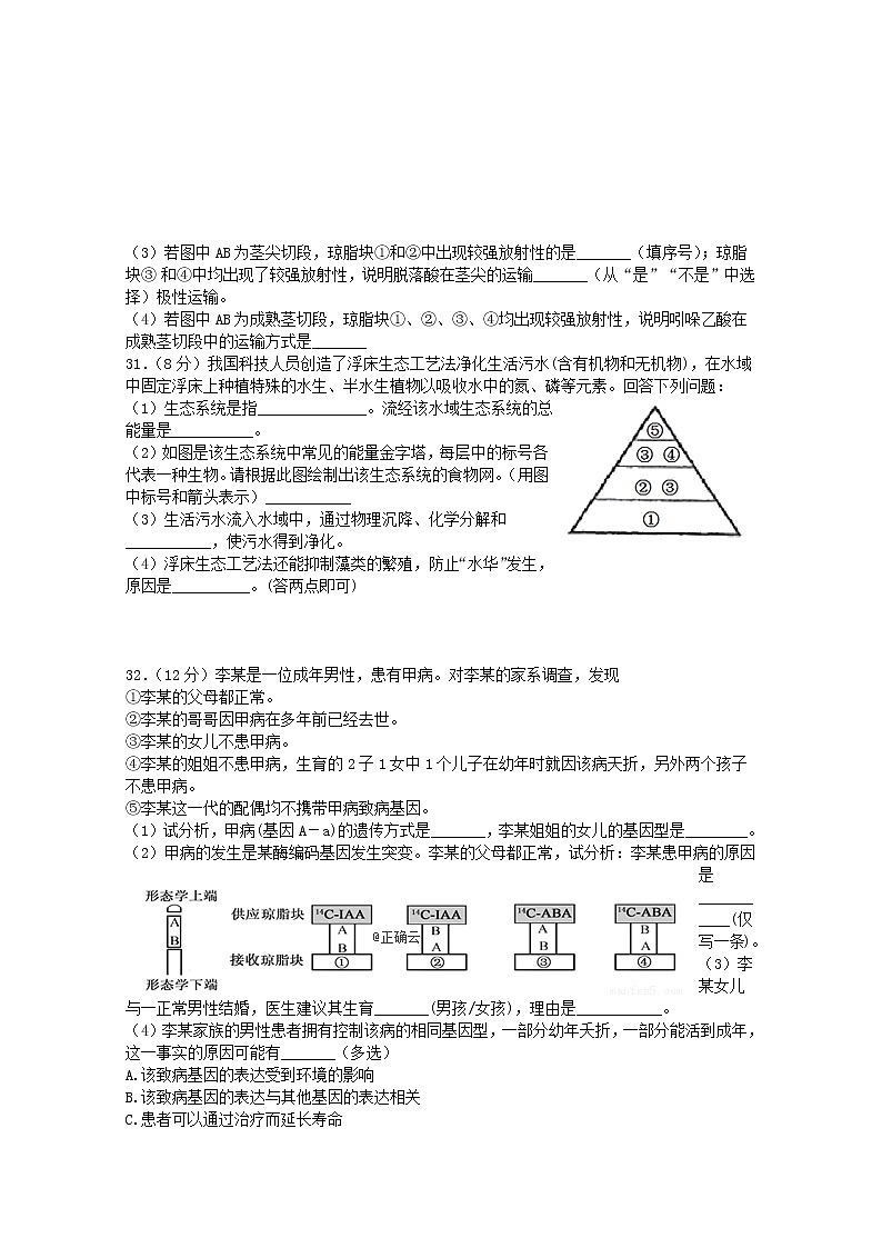 高中生物高考辽宁省兴城市2019届高三生物第九次模拟考试试题第3页
