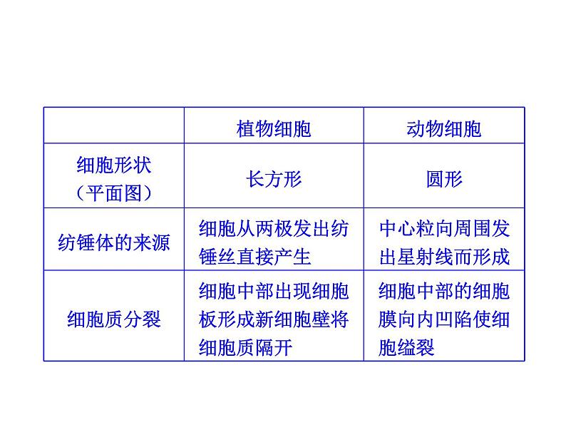 高中生物高考考点精讲7 细胞的生命历程（课件）第4页