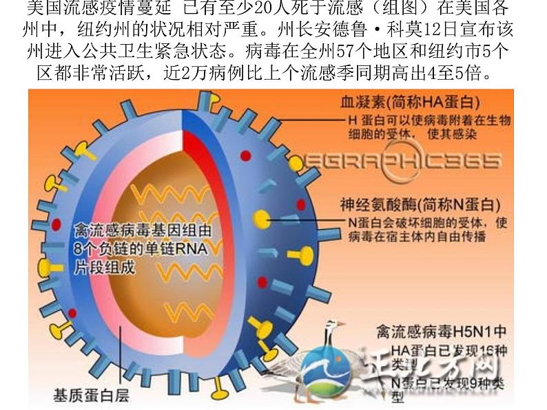 高中生物高考考点精讲10 生物的变异与进化（课件）第3页