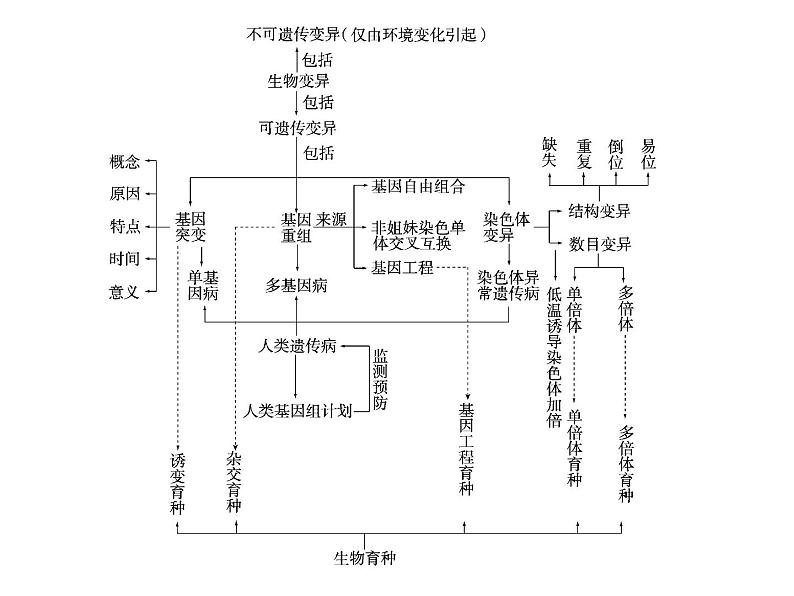 高中生物高考考点精讲10 生物的变异与进化（课件）第4页