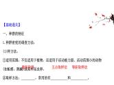 高中生物高考考点精讲12 种群和群落（课件）