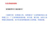 高中生物高考考点精讲13 生态系统及其稳定性 人与环境（课件）