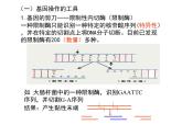 高中生物高考考点精讲16 基因工程、生物技术的安全性与伦理问题（课件）