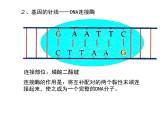 高中生物高考考点精讲16 基因工程、生物技术的安全性与伦理问题（课件）