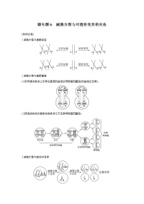 高中生物高考微专题6　减数分裂与可遗传变异的关系