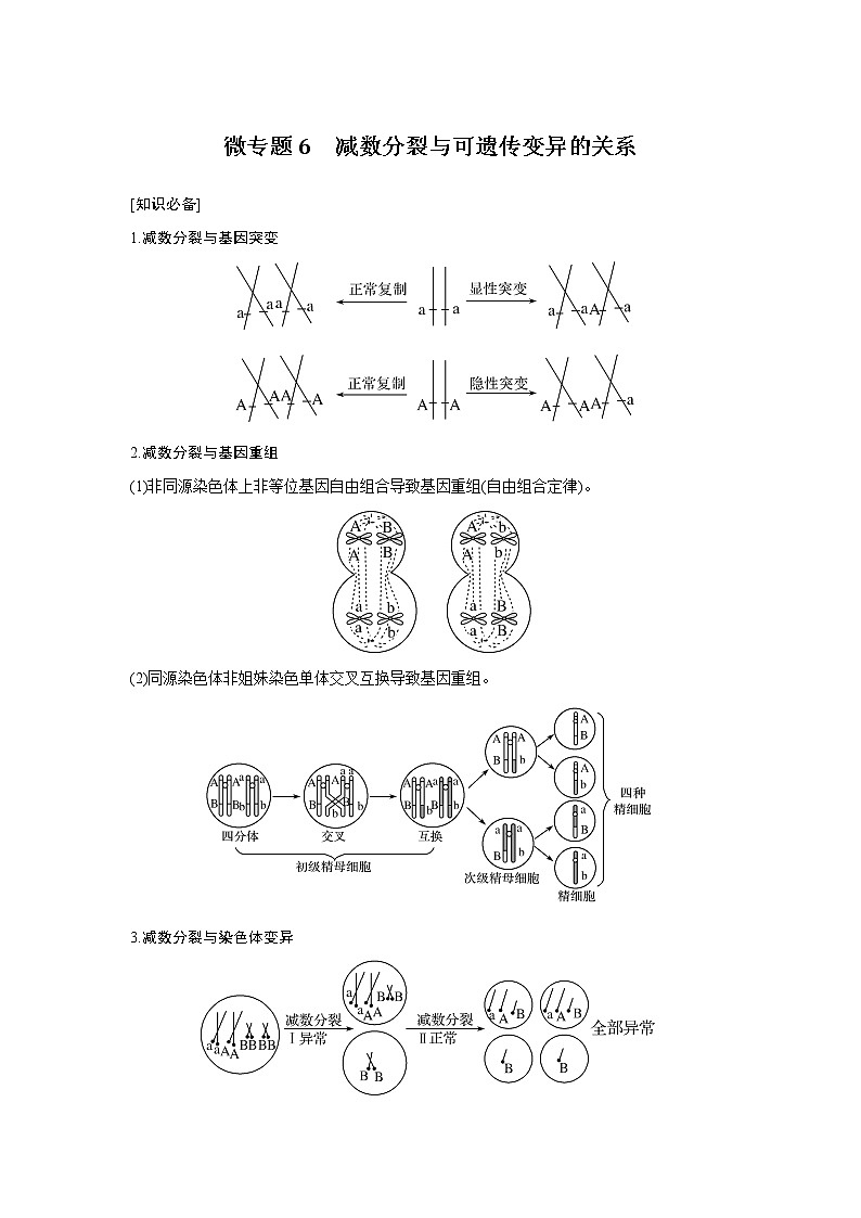 高中生物高考微专题6　减数分裂与可遗传变异的关系第1页