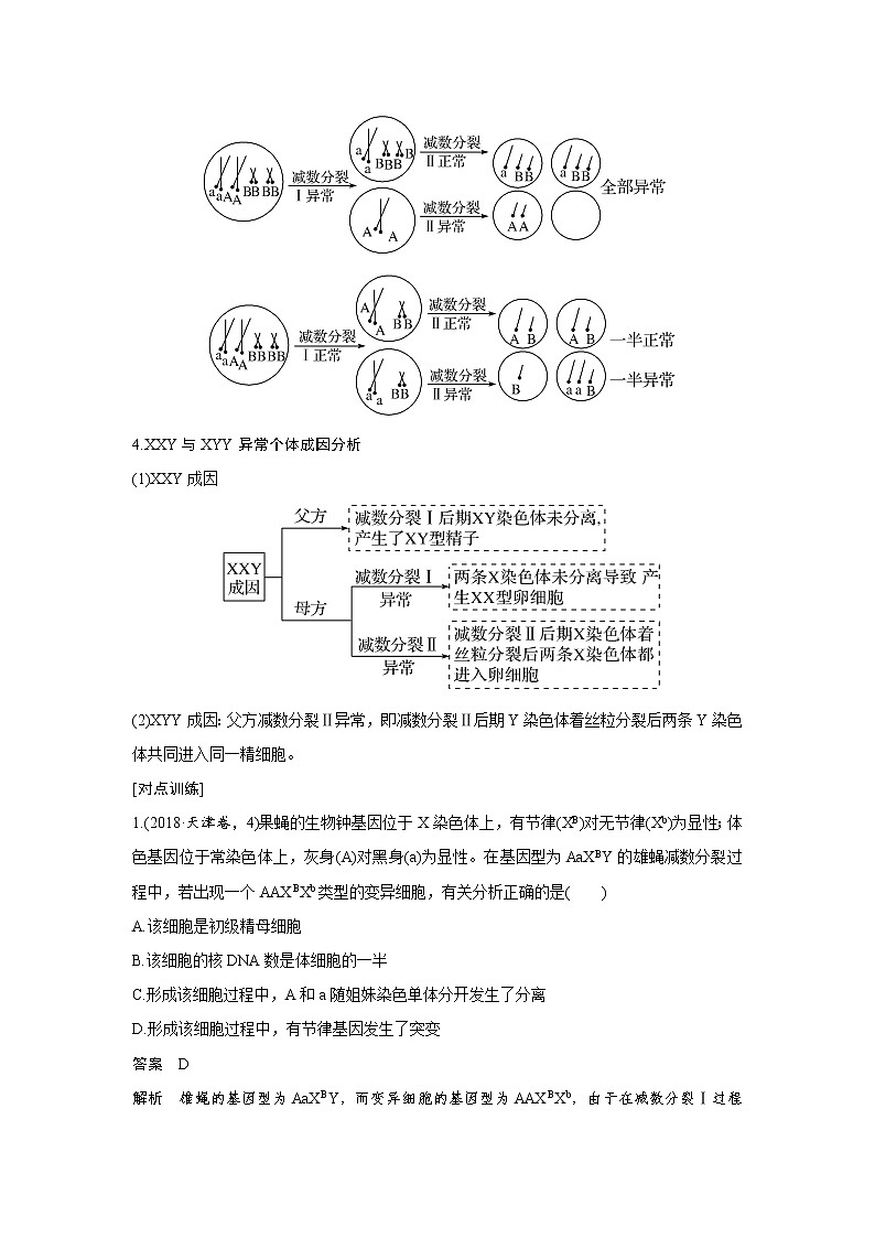 高中生物高考微专题6　减数分裂与可遗传变异的关系第2页