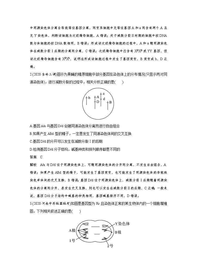 高中生物高考微专题6　减数分裂与可遗传变异的关系第3页