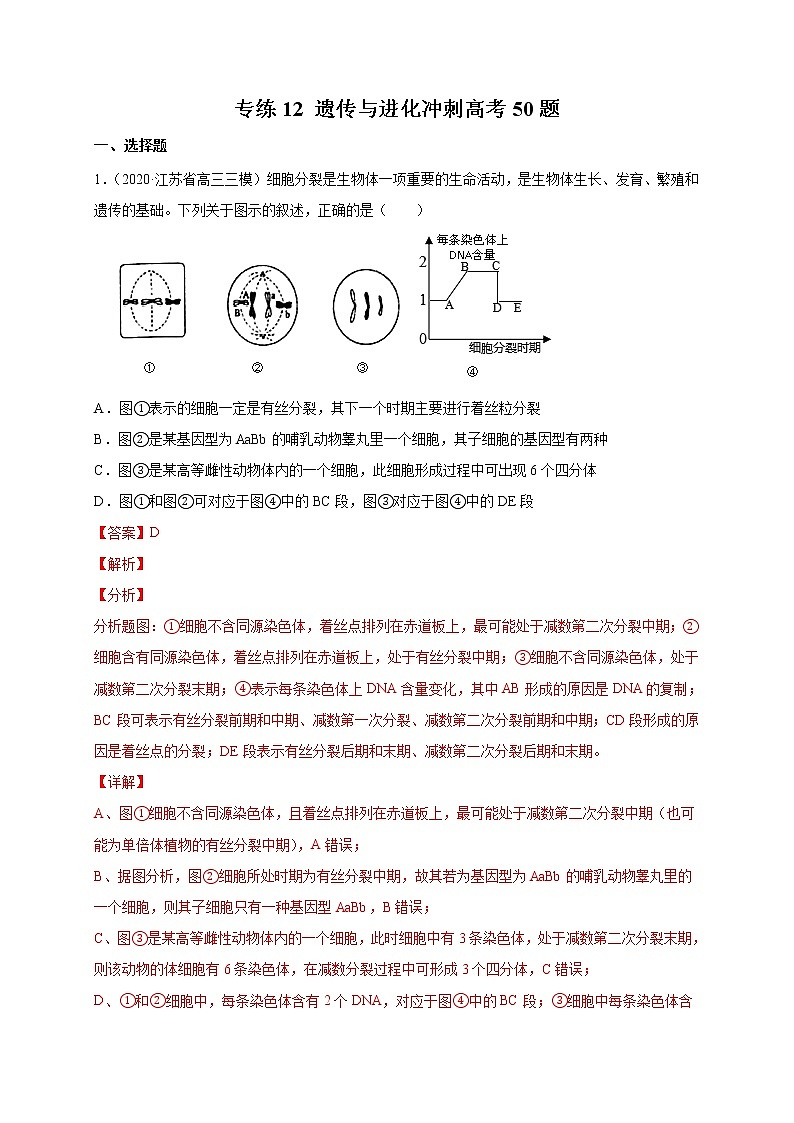 高中生物高考专练12 遗传与进化冲刺高考 题-2020年高考生物总复习考点必杀800题（解析版）01