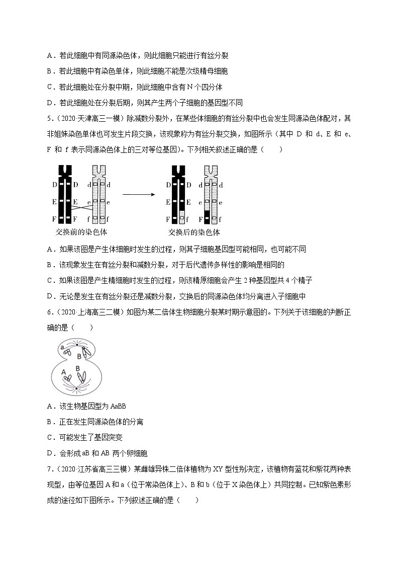 高中生物高考专练12 遗传与进化冲刺高考 题-2020年高考生物总复习考点必杀800题（原卷版）02