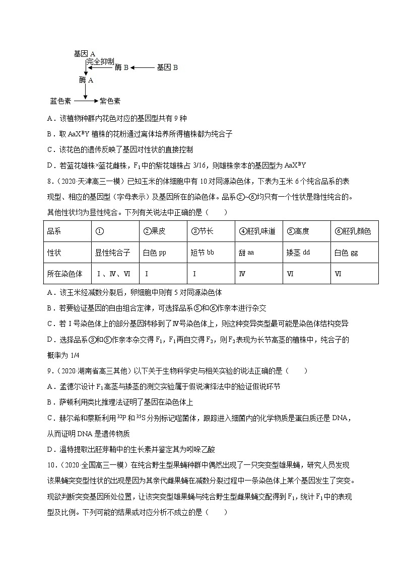 高中生物高考专练12 遗传与进化冲刺高考 题-2020年高考生物总复习考点必杀800题（原卷版）03