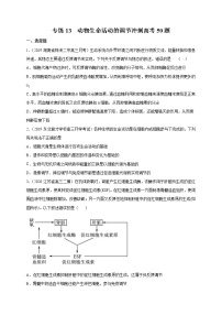 高中生物高考专练13 动物生命活动的调节冲刺高考 题-2020年高考生物总复习考点必杀800题（原卷版）