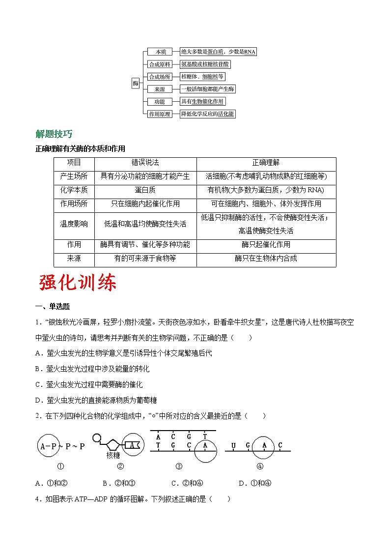 专题09 酶与ATP（学生版）第3页