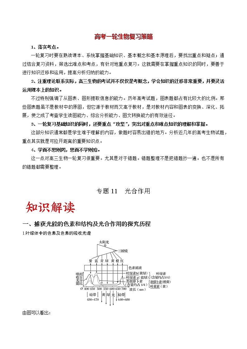 专题11 光合作用（教师版）第1页