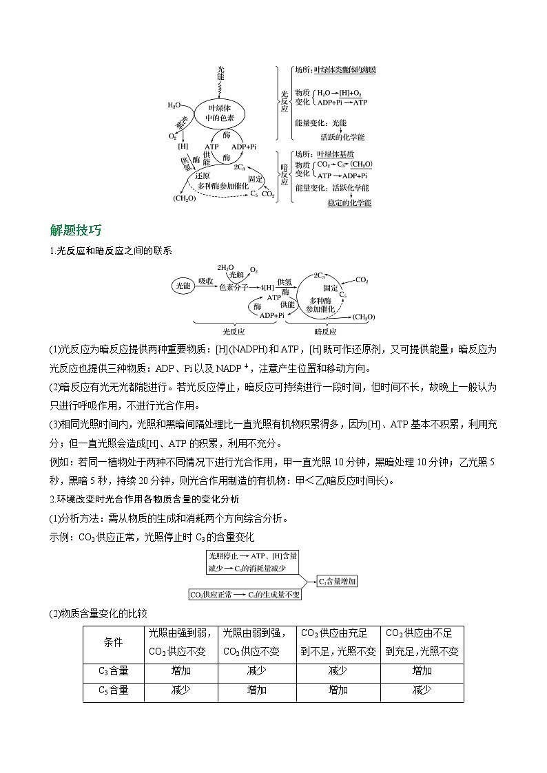 专题11 光合作用（教师版）第3页