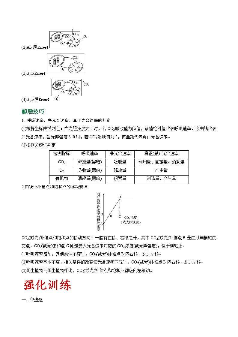 专题12 光合作用与细胞呼吸的综合（学生版）第3页